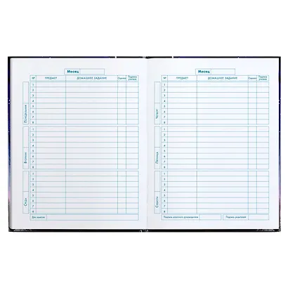 Дневник для младших классов Феникс+, "Звездный улов" - фото 7