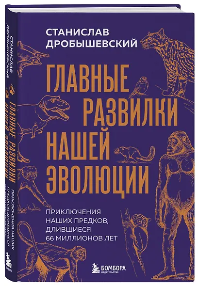 Главные развилки нашей эволюции. Приключения наших предков, длившиеся 66 миллионов лет - фото 3