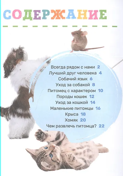 Домашние питомцы - фото 2