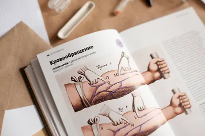 Главное в истории науки. Ключевые открытия, эксперименты, теории, методы - фото 11