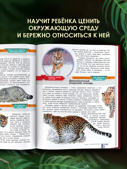Красная книга России - фото 7