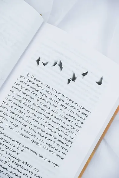 Девять царств: Принцесса степей - фото 15