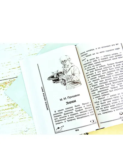 Большая собачья книга - фото 5