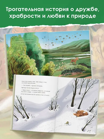 Большое путешествие маленькой птички - фото 3