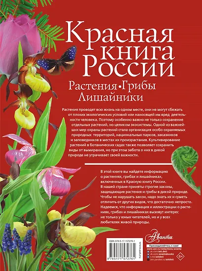 Красная книга России. Растения. Грибы. Лишайники - фото 2