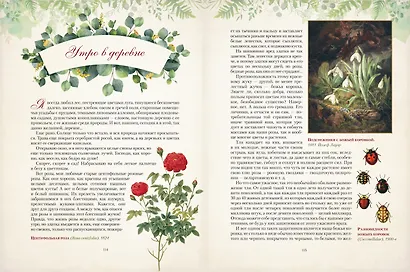 Дары русского леса. Грибы, ягоды и целительные растения - фото 11