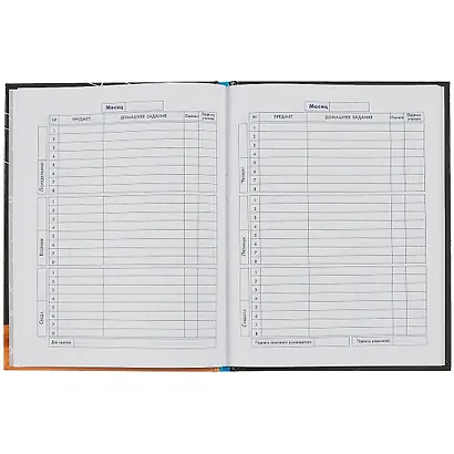 Дневник для средних и старших классов Феникс+, "У классной доски" - фото 2