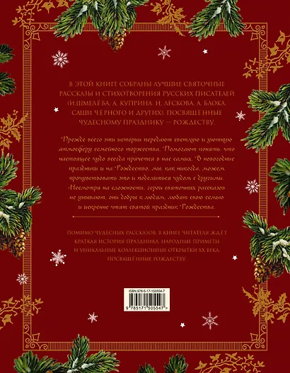 Святочные рассказы. Настоящее чудо Рождества - фото 2
