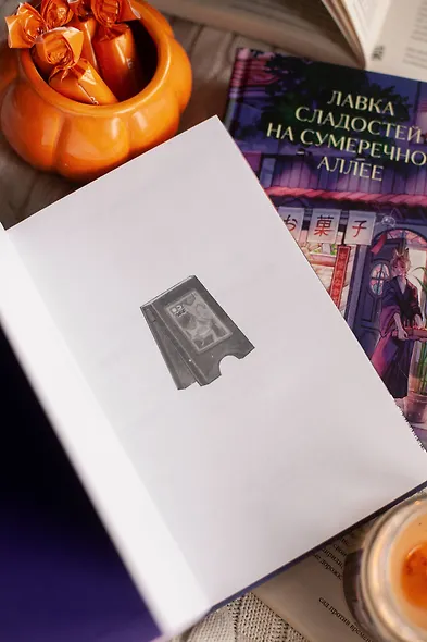 Лавка сладостей на Сумеречной аллее - фото 9