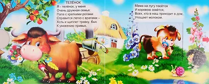 Домашние животные - фото 3