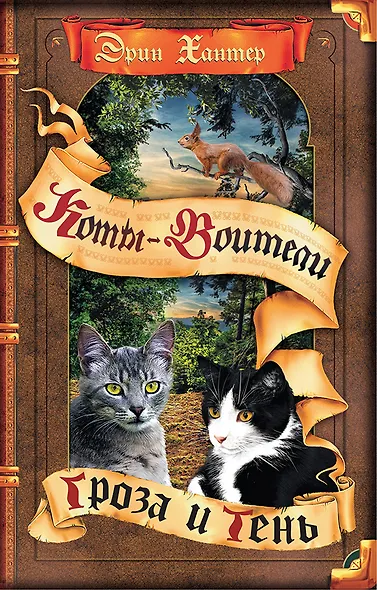 Гроза и Тень - фото 1