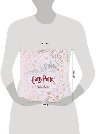 Harry Potter a Cinematic Gallery (JM Dragunas) Гарри Поттер Киногаллерея (Дж М Драгунас)/ Книги на английском языке - фото 3