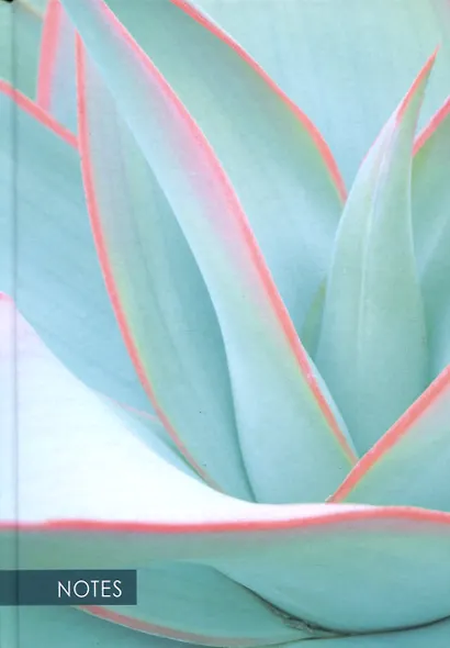 Книга для записей А5 100л кл. "Aloe" 7БЦ, ламинация soft touch - фото 1