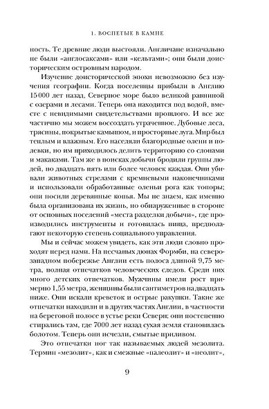 Основание: история Англии. От самых начал до эпохи Тюдоров - фото 14