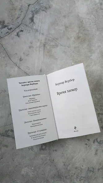 Время химер - фото 13