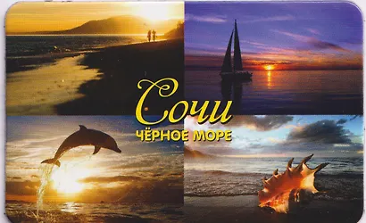 Магнит большой Коллаж4 №3 (винил) (Сочи) (030-1-135-K4-3) - фото 1