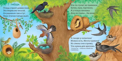 Удивительные дома животных. Книжки-картонки - фото 8