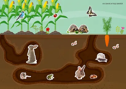 Фотонаклейки. Ферма - фото 6