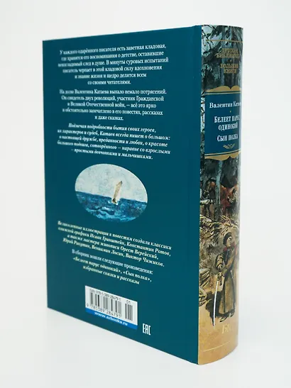 Белеет парус одинокий. Сын полка - фото 9