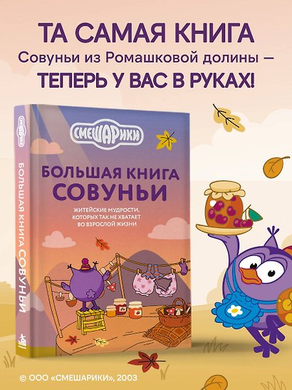 Большая книга Совуньи. Житейские мудрости, которых так не хватает во взрослой жизни - фото 4
