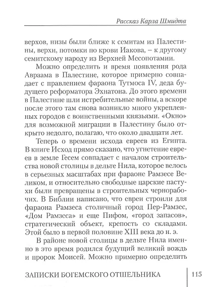 Записки богемского отшельника - фото 6