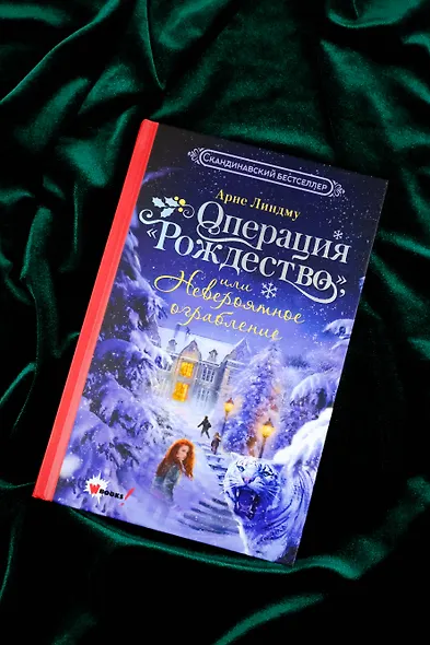 Операция Рождество, или Невероятное ограбление - фото 10