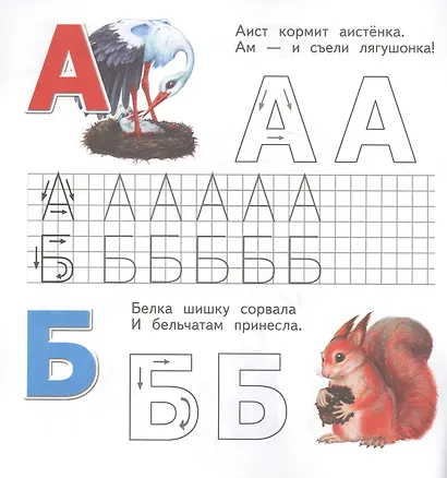 Живая азбука. Прописи. Печатные буквы - фото 2