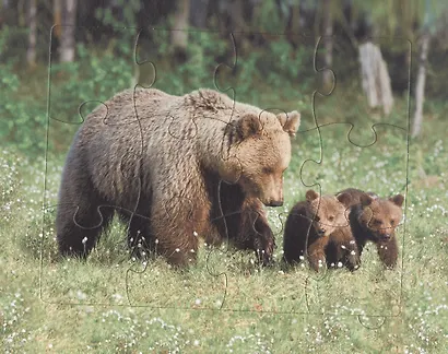 Дикие животные. Энциклопедия с пазлами - фото 4