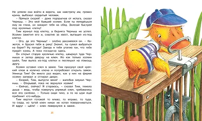 Знаменитый утёнок Тим - фото 6