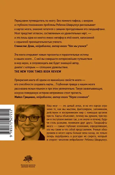 Ландшафты мозга - фото 2