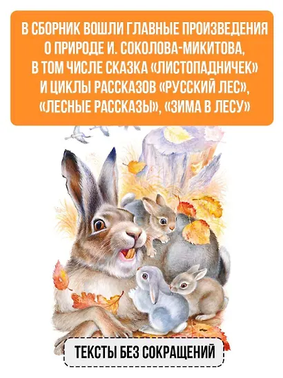 Листопадничек. Рассказы - фото 5