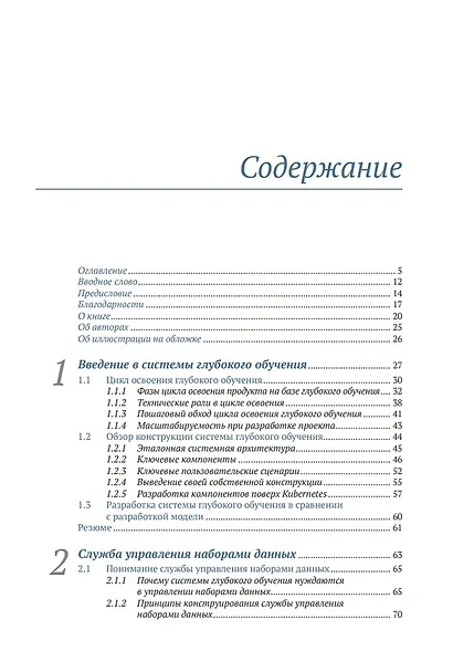 Конструирование систем глубокого обучения - фото 2