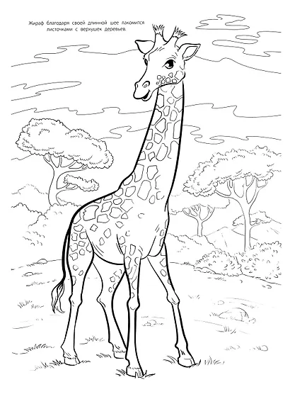 Мегараскраска. Животные - фото 2