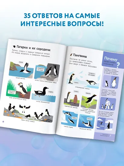 Подводный мир - фото 6