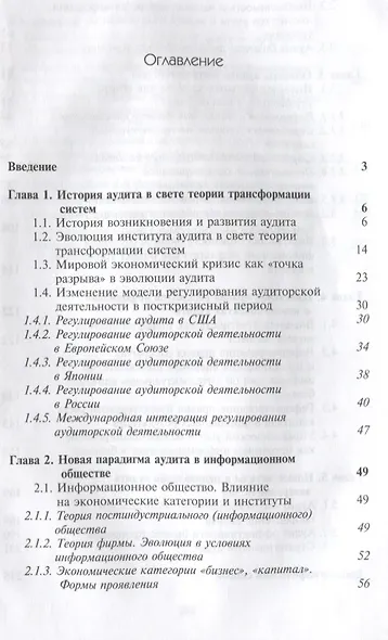 Аудит бизнеса Практика и проблемы развития (Magister) Булыга - фото 2