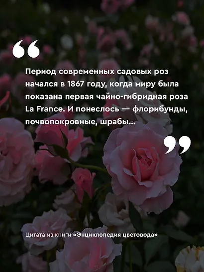 Энциклопедия цветовода - фото 5