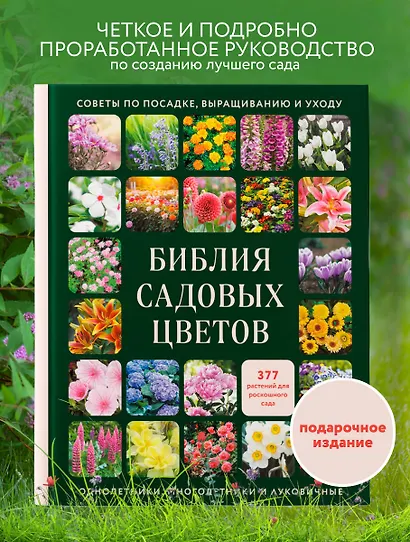 Библия садовых цветов. Однолетники, многолетники и луковичные. Советы по посадке, выращиванию и уходу - фото 4