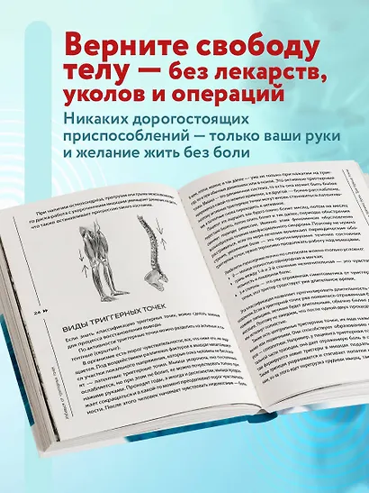 Избавься от триггерных точек. Готовые программы упражнений для устранения боли в позвоночнике, суставах и мышцах - фото 5