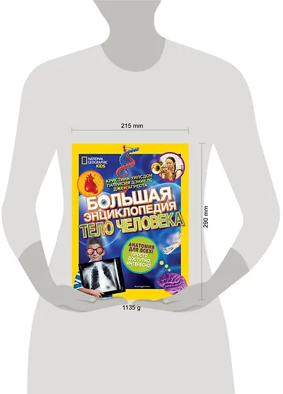 Большая энциклопедия. Тело человека - фото 11