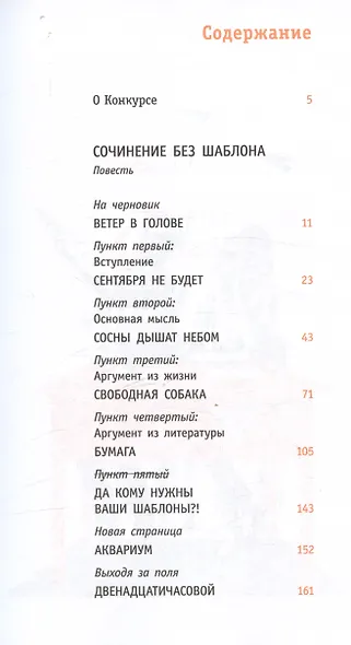 Сочинение без шаблона - фото 3