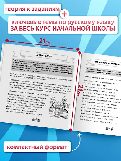 Все правила по русскому языку за 15 минут в день - фото 5