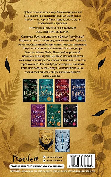 Железный ворон (#1) - фото 2