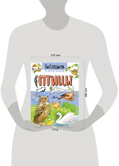 Птицы - фото 3