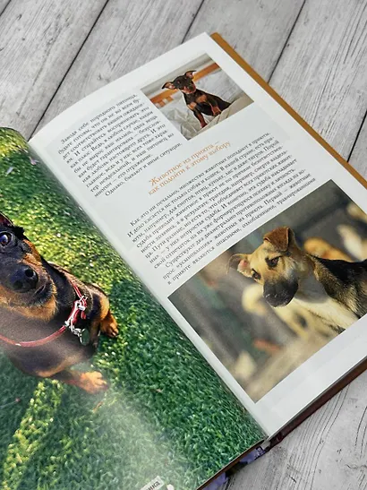 Домашние животные. Популярный иллюстрированный гид - фото 6