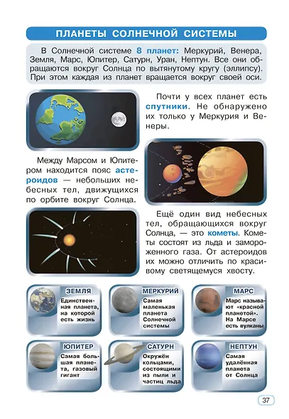 Окружающий мир. 1-4 классы - фото 11