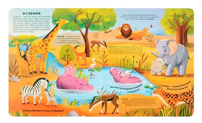Мир животных. Книжка с окошками - фото 3