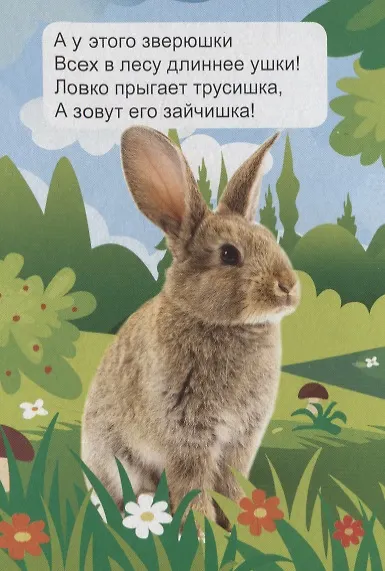 ЦК МИНИ. ЛЕСНЫЕ ЖИВОТНЫЕ - фото 2