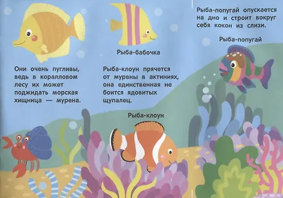 Кто под водой живет? - фото 2