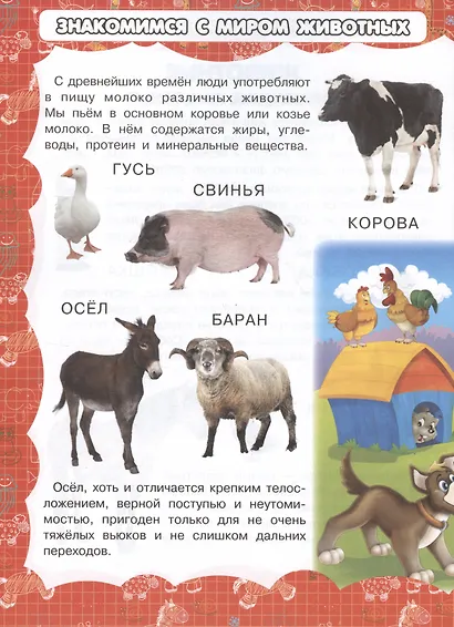 Животные - фото 3