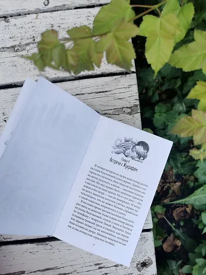 Путешествие в Древляндию - фото 8